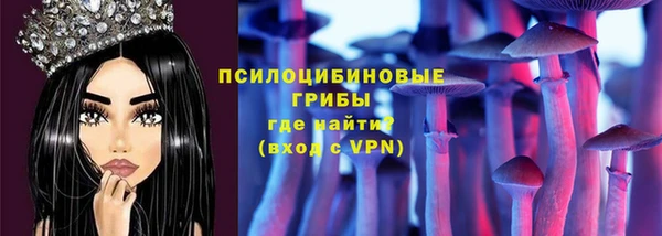 apvp Бугульма