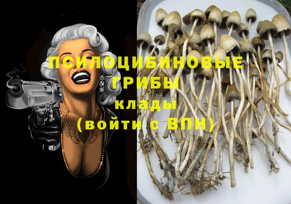 apvp Бугульма