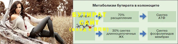 крисы Бородино