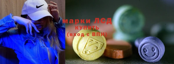 крисы Бородино