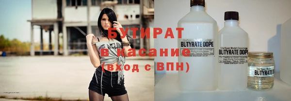 крисы Бородино