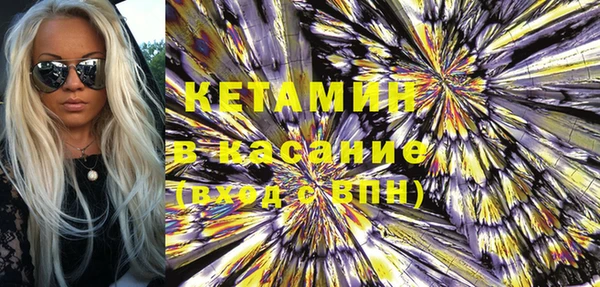 крисы Бородино