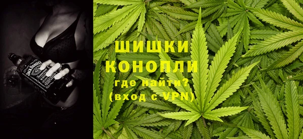 крисы Бородино