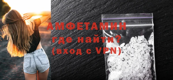 крисы Бородино