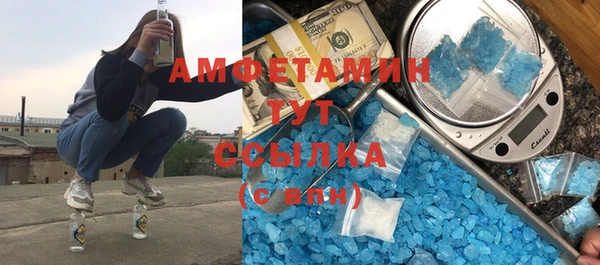 крисы Бородино