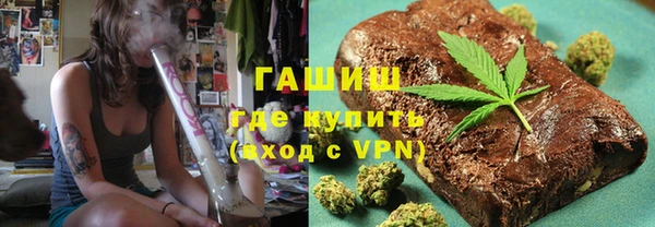 крисы Бородино