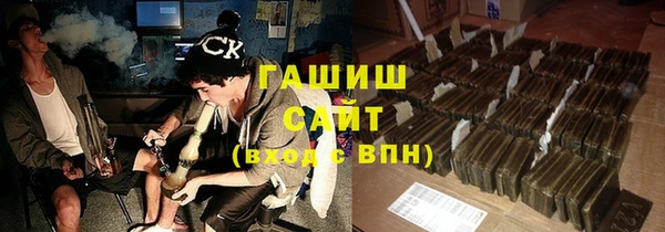 крисы Бородино