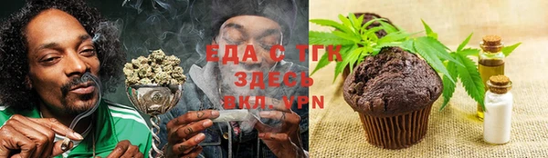 крисы Бородино