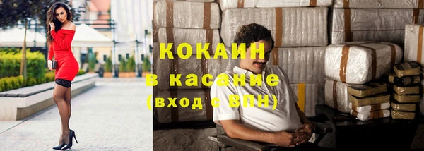 крисы Бородино